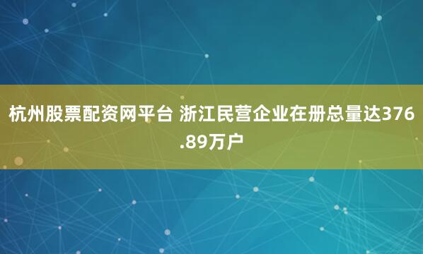 杭州股票配资网平台 浙江民营企业在册总量达376.89万户