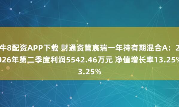 牛8配资APP下载 财通资管宸瑞一年持有期混合A：2026年第二季度利润5542.46万元 净值增长率13.25%